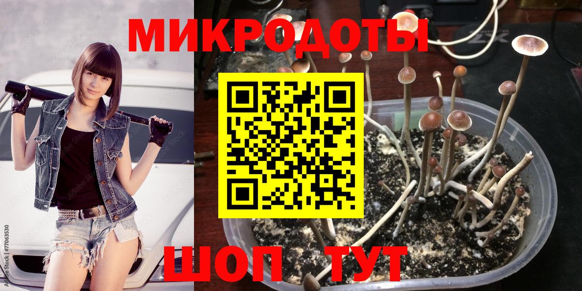 Псилоцибиновые грибы GOLDEN TEACHER Кашира