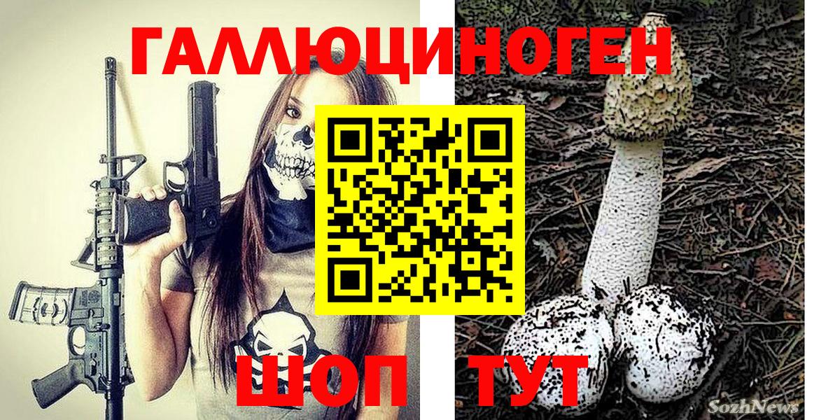 Псилоцибиновые грибы Magic Shrooms  Вход с VPN  где можно купить   Кашира  Псилоцибиновые грибы мицелий 